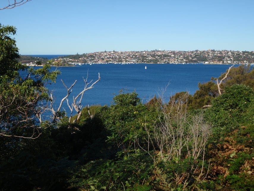 Chowder Bay to Middle Head Return Chowder Bay Road Walk (5.1km) Sydney Harbour National Park