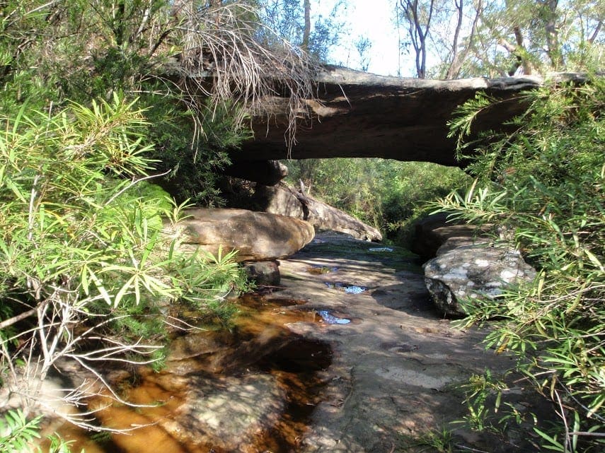 Natural Bridge Walk (1.4km) Garigal National Park, NSW
