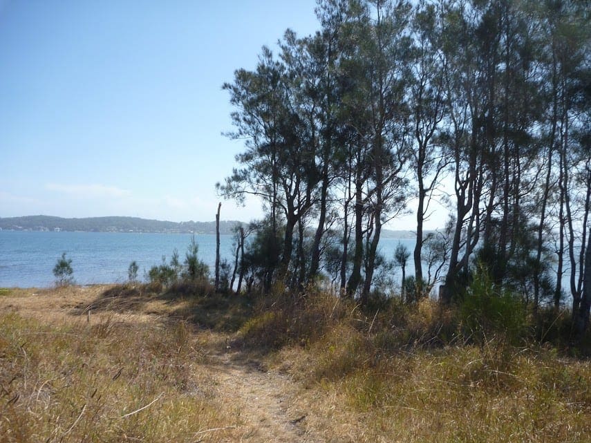 The Green Point Walk (3km) Belmont, NSW