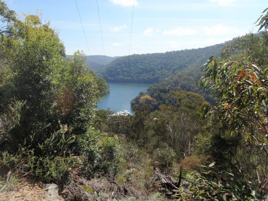 Bobbin Head Track (5km) Kuringgai Chase National Park, NSW