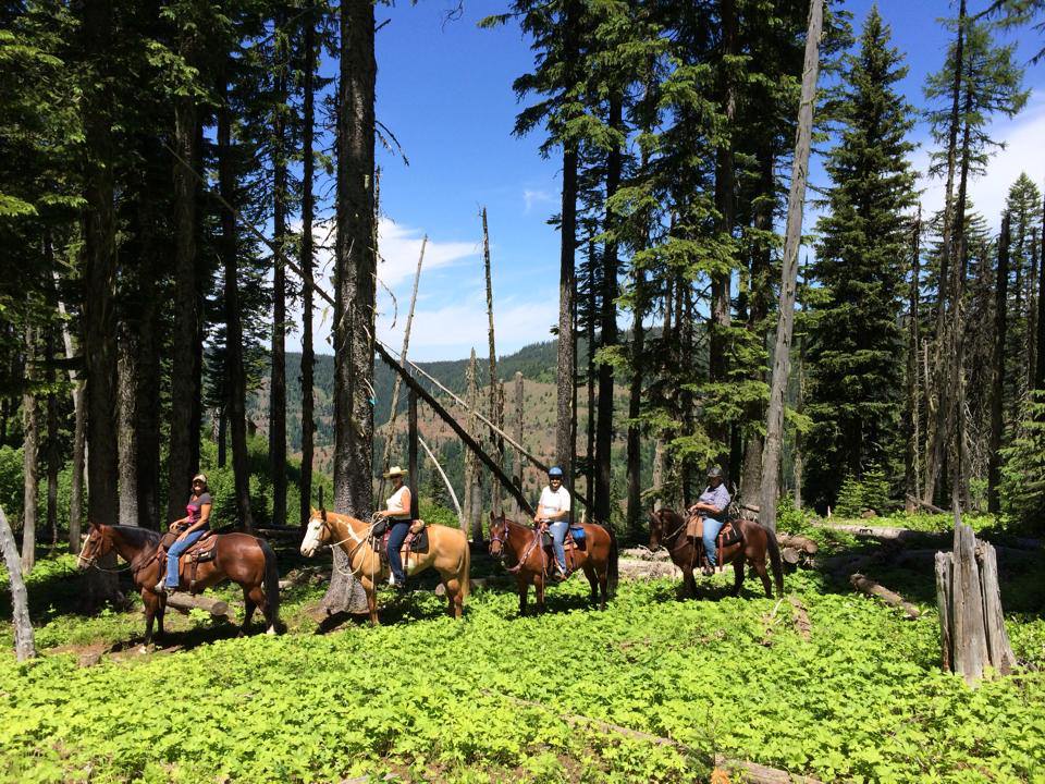 Umatilla Rim Trail TrailMeister