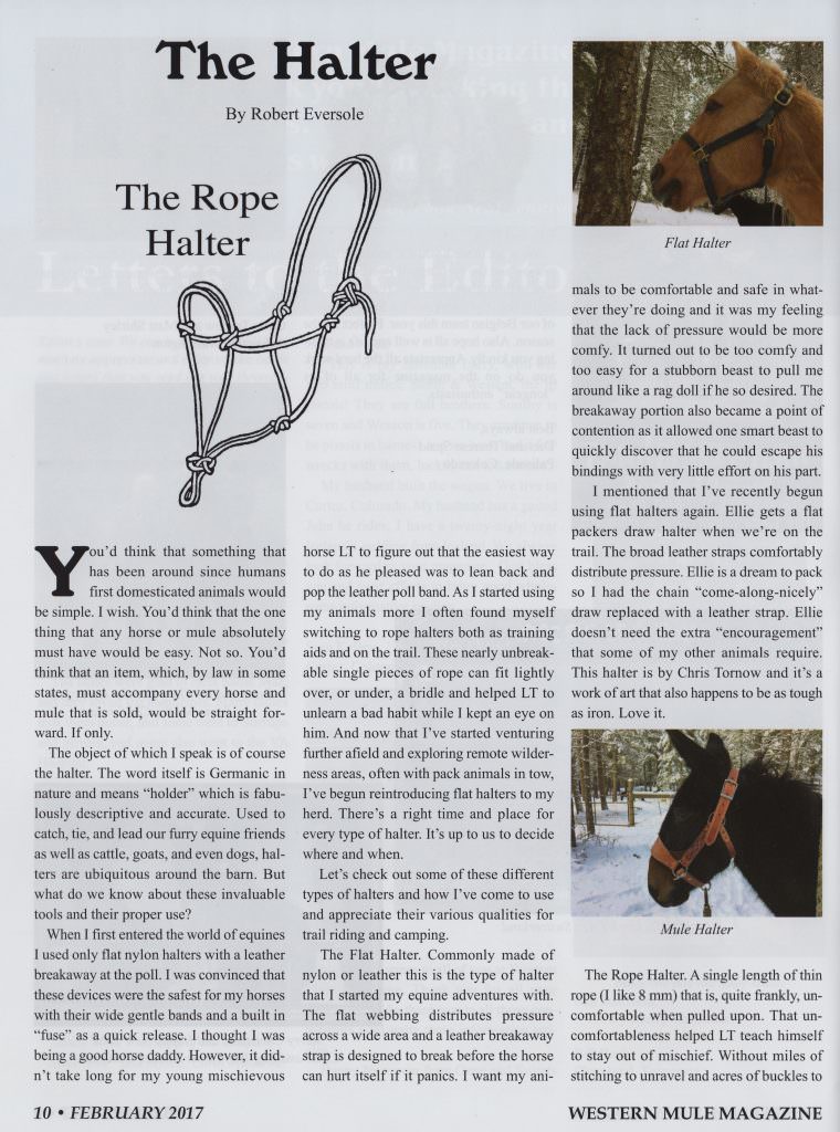The Halter Western Mule Feb 2017 TrailMeister