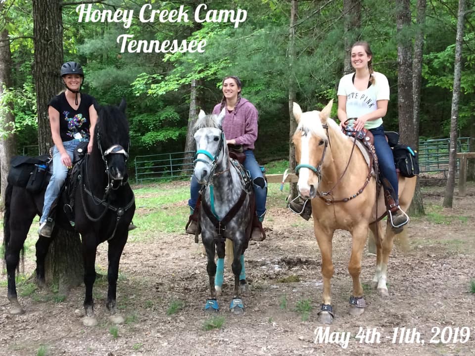 Honey Creek Horse Camp TrailMeister