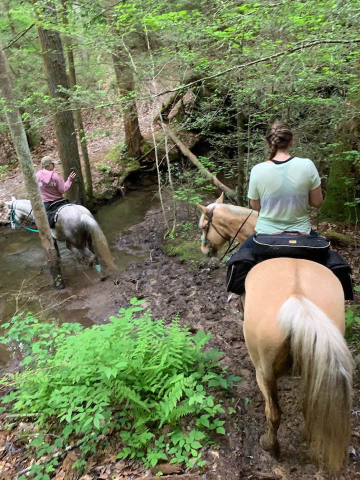 Honey Creek Horse Camp TrailMeister