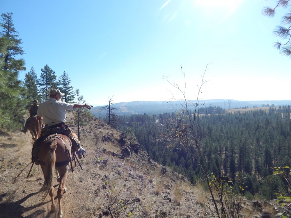 Pine Bluff Trailhead Riverside State Park TrailMeister