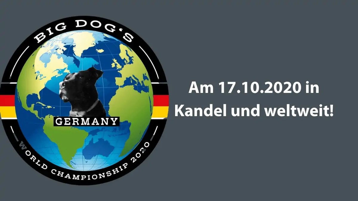 Backyard Ultra Marathon Der neue Trend hat sich etabliert