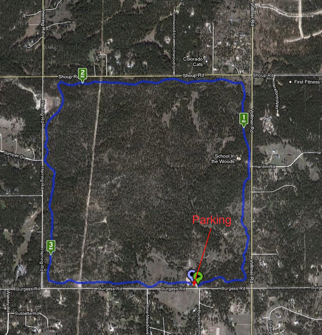 Black Forest Section 16 TOSC