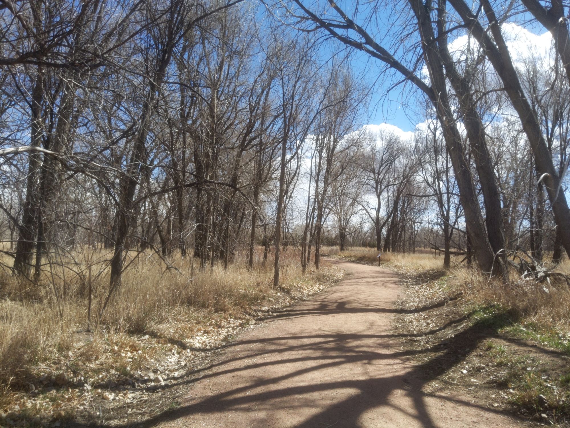 Get Out Spread Out TOSC