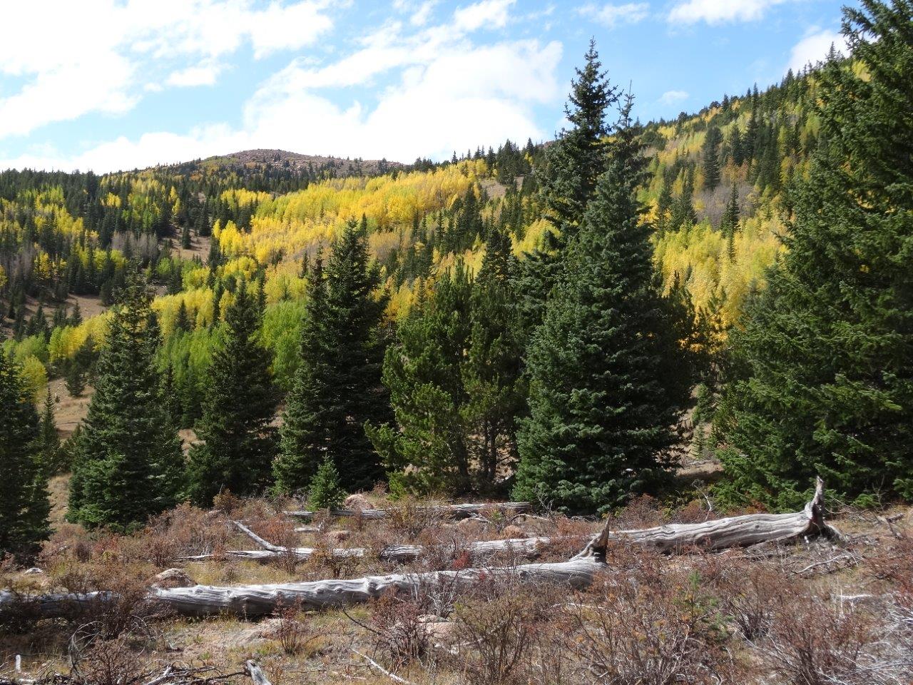 South Slope Recreation Area TOSC