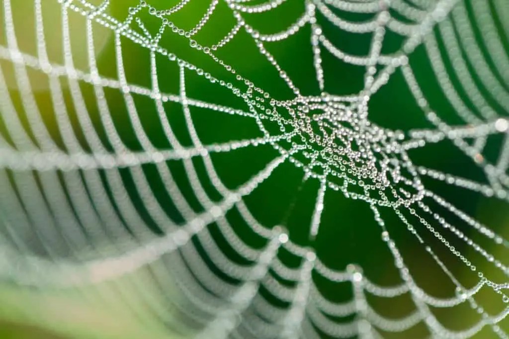 Spiders Web Team Building Games, UK, Online Trainer Bubble
