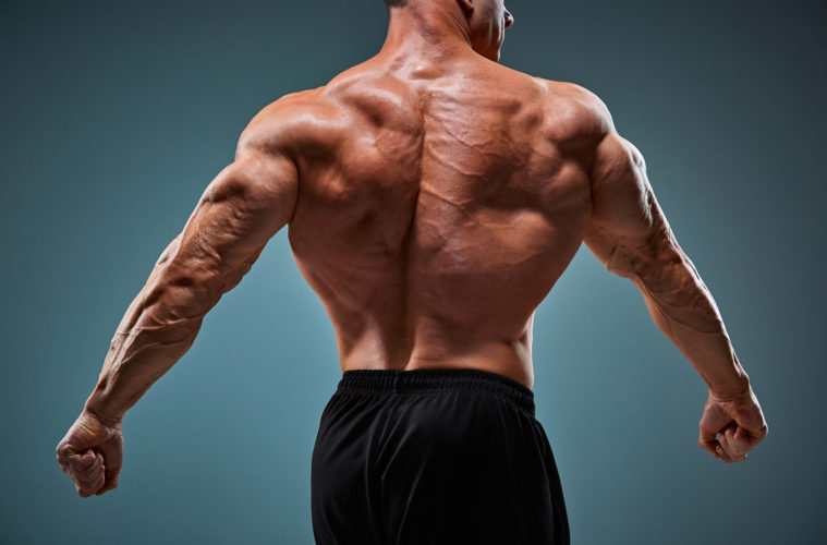 Muscle Building Hack for a Wider Back Trainerize.me
