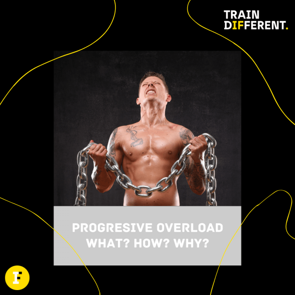 Harnessing the Power of Progressive Overload in Exercise Trainerize.me