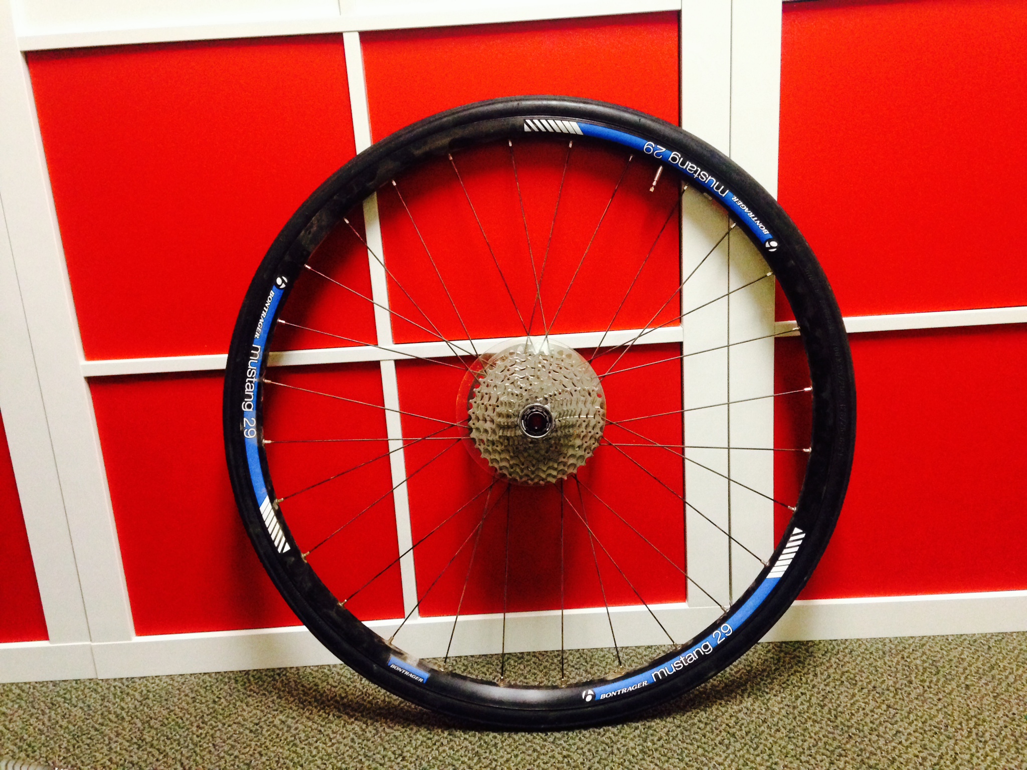 Indoor Mountain Bike Training TrainerRoad