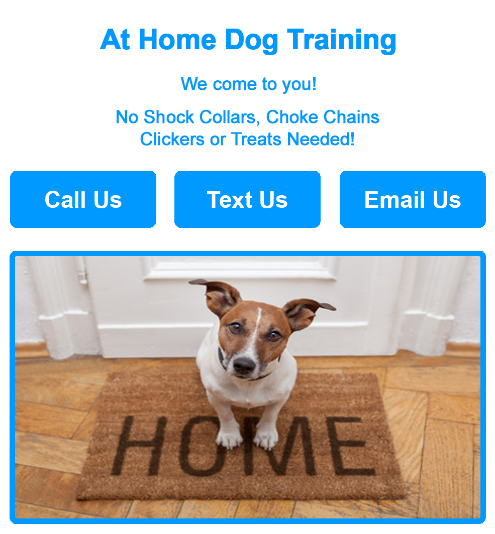 Best Dog Trainer Las Vegas, Dog Training Las Vegas, Dog Trainer Henderson