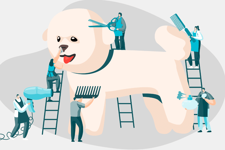 26 Animal Care Courses