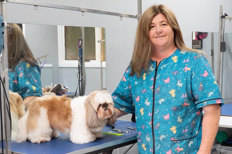 Careers with Animals 23 Exciting Jobs That Pay Well