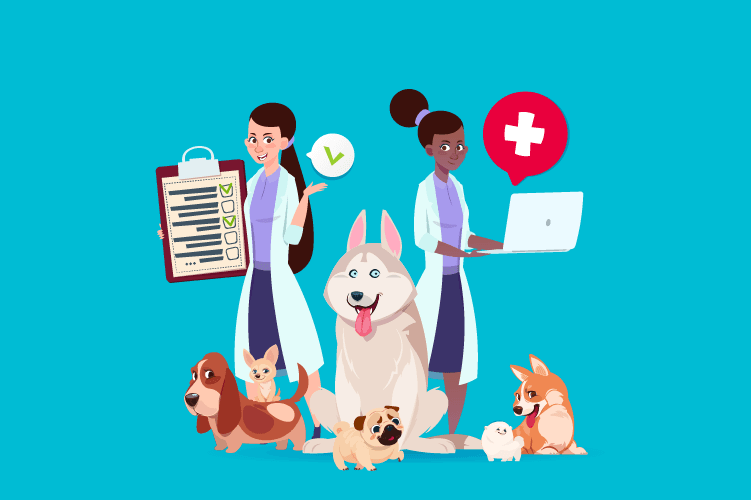 How to an Animal Attendant An Enjoyable Career That Makes a