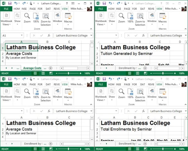 Creating multiple views and Freezing frames in Excel Worksheets