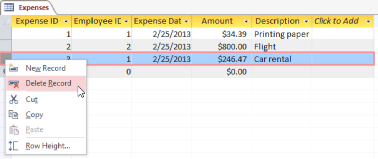 Working with Records in Microsoft Access Training Connection