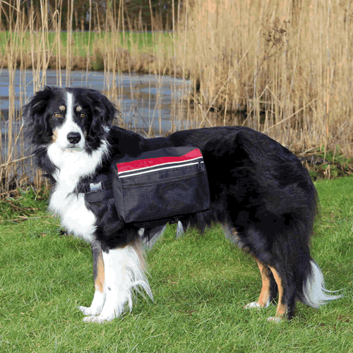 Training Lines > Dog Wearables and Backpacks > Dog Backpack from Trixie