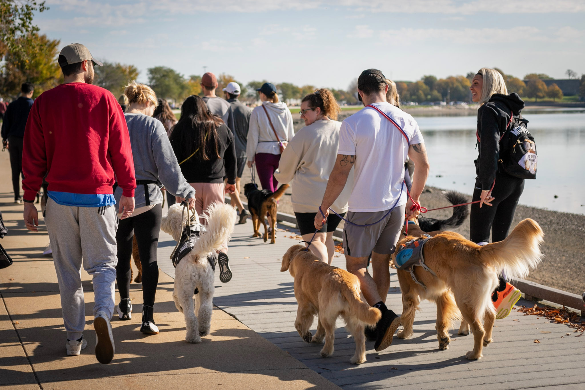 Professional Dog Trainer in Boston Training With Bria