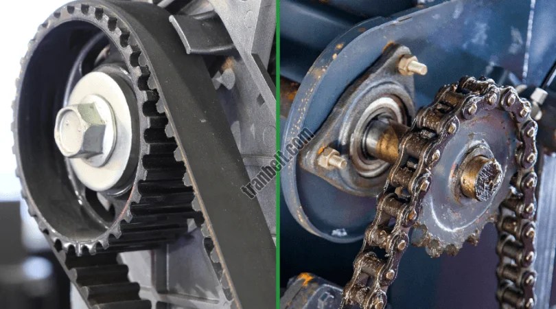 (2026) What’s the Difference Between Timing Belt and Chain? | TranBelt