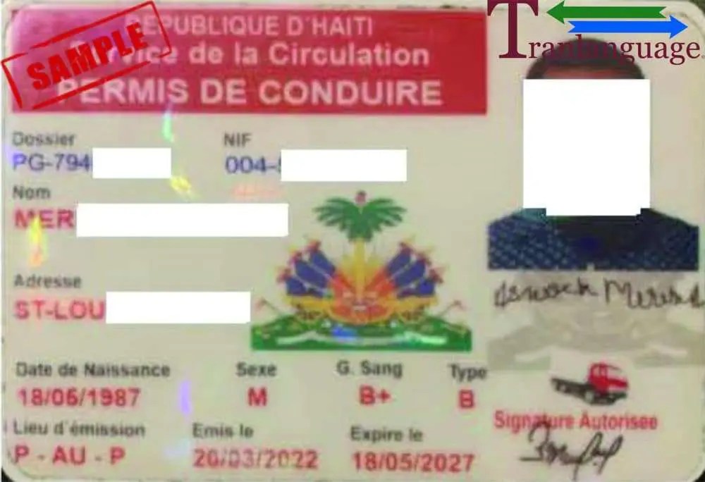 Driver License Haiti I Tranlanguage Certified Translations