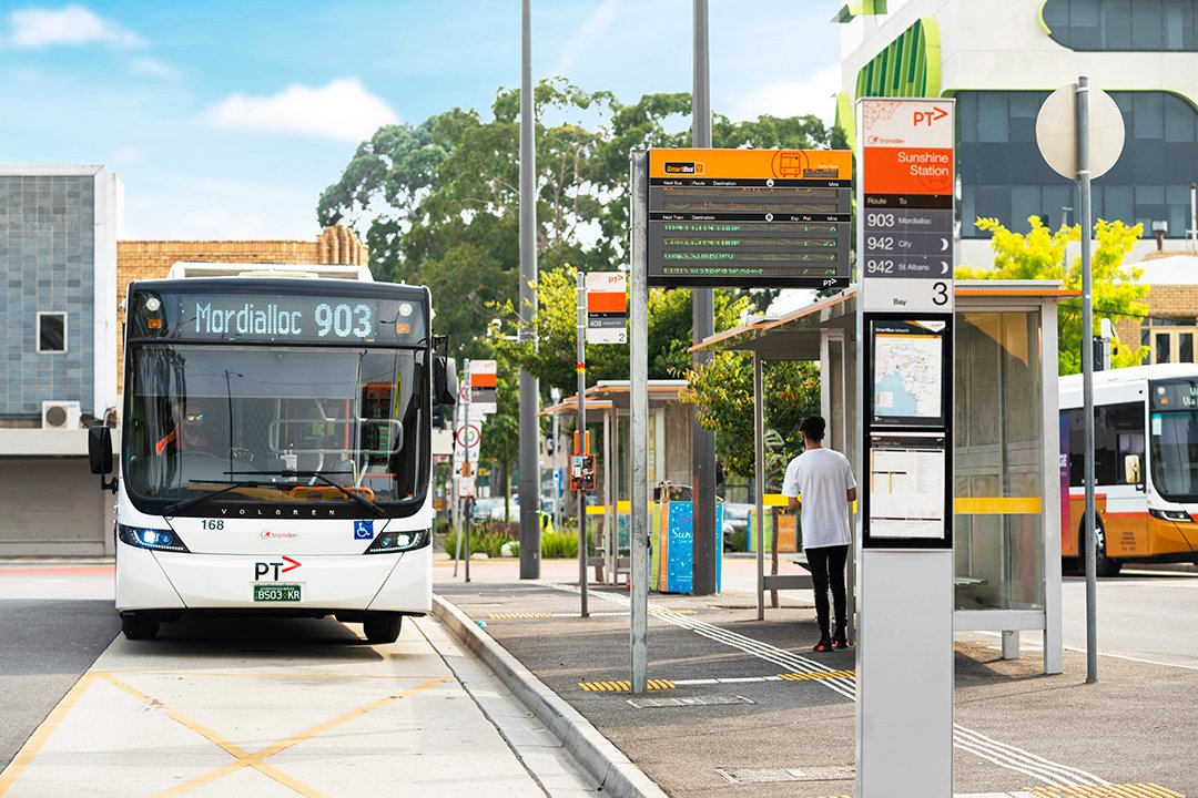 Can You Take Dogs On Public Transport Melbourne