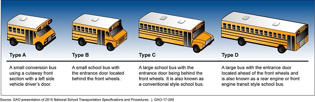 Types of School Buses: A Comprehensive Guide - Tranfinder from Transfinder