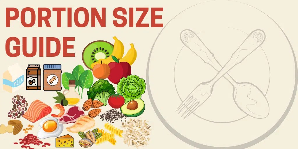 Portion Size Guide For Weight Loss & Healthy Eating Transfitnation