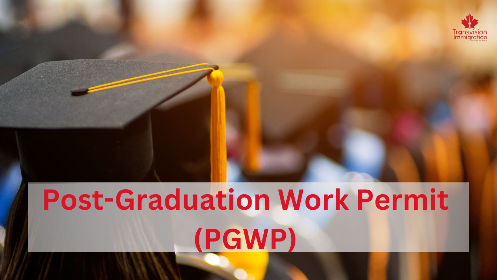PostGraduation Work Permits Transvision Immigration