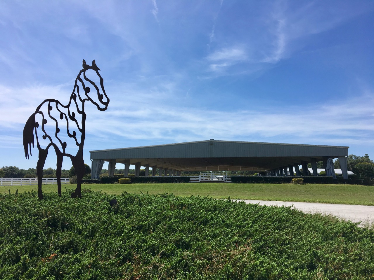 Premier 87± Acre Ocala Horse Farm DG1112