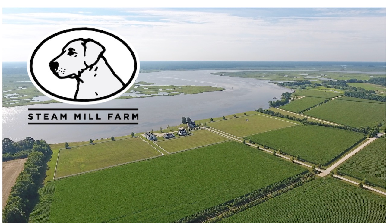 SOLD at auction 1,000 acre Deep Water Gunning Farm/Equestrian Retreat