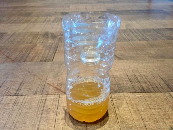 Homemade Fruit Fly Trap How To Make Your Own