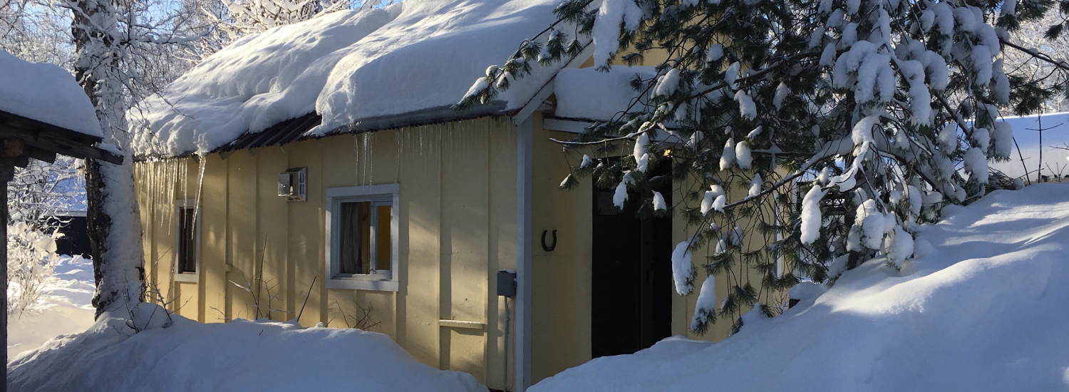 YELLOW COTTAGE Trapper John's Cabins