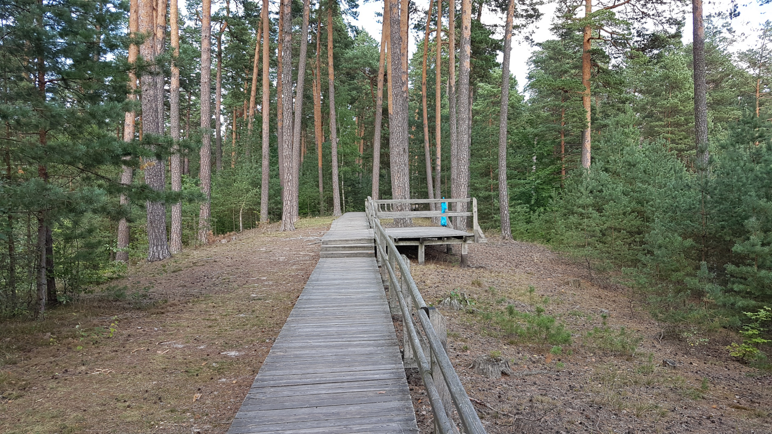 “Echo Ponds” Bathing Area