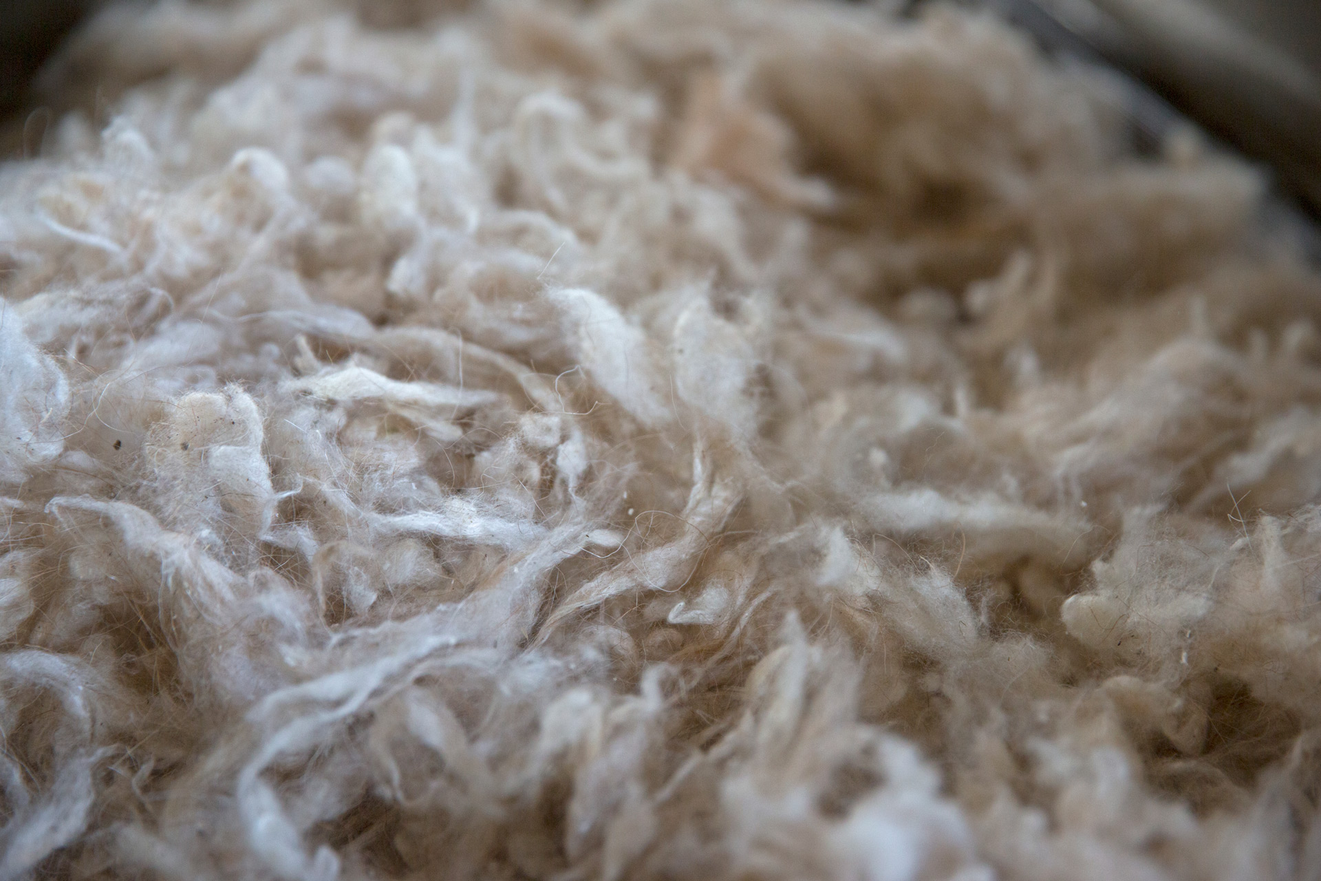 Naadam Cashmere Traub