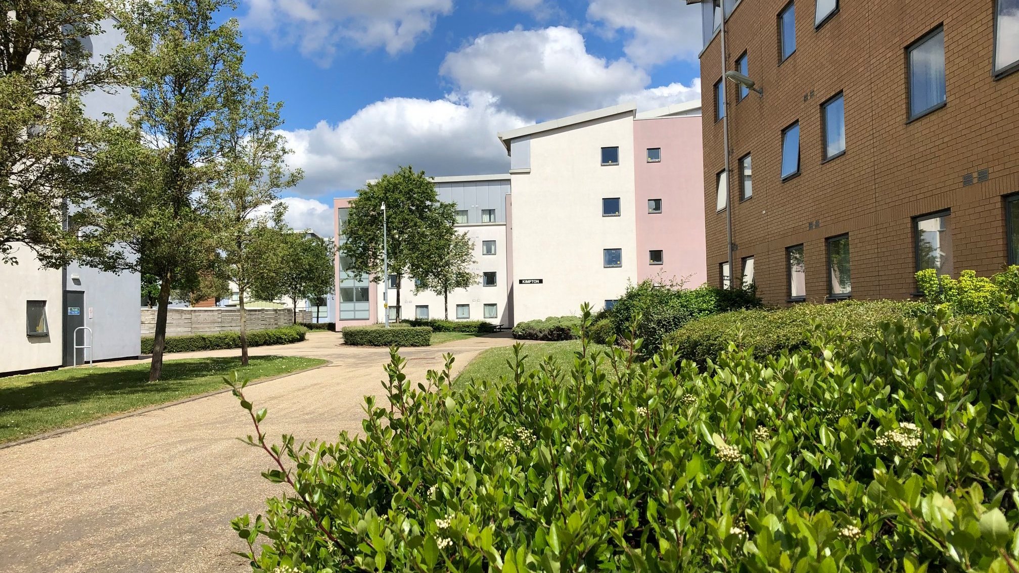 PLUS Hatfield University of Hertfordshire — summer school