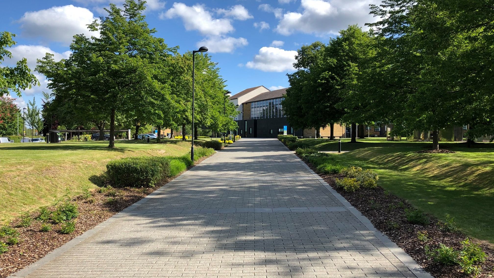 PLUS Hatfield University of Hertfordshire — summer school