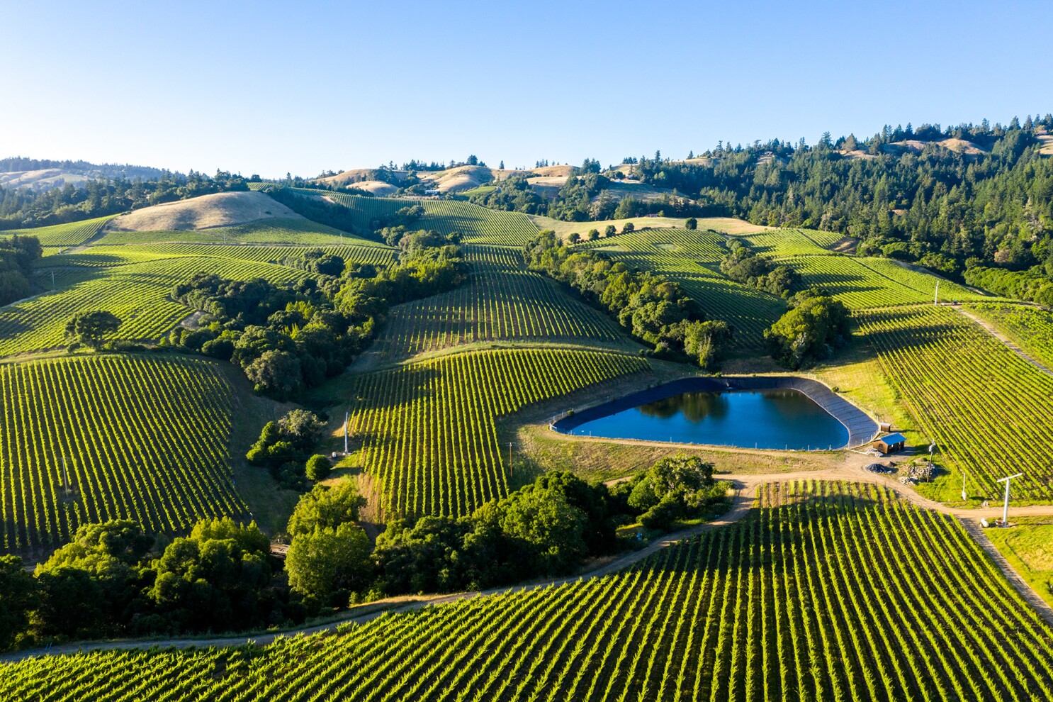 Road trip s Four Seasons Alpy nebo Napa Valley? Luxury Travel Digest