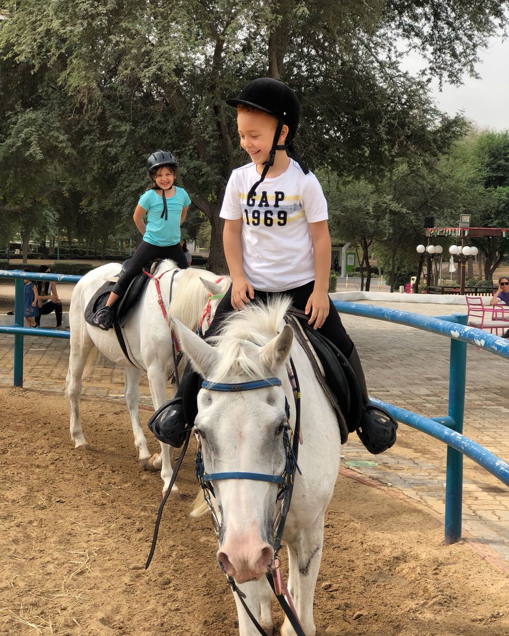 Horse Riding Dubai Things To Do In Dubai Travelex Travels & Tours LLC