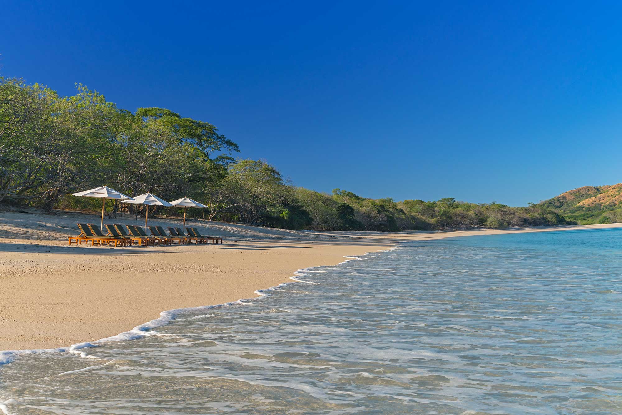 Costa Rica Tours: Lowest Prices and B…