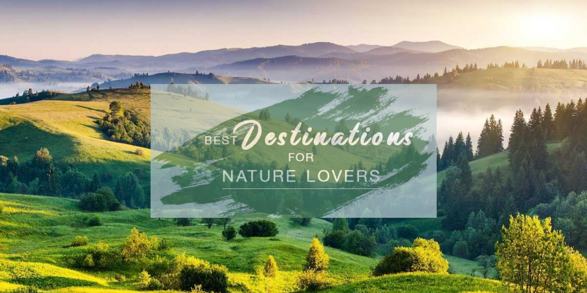 10 Best Destinations for Nature Lovers to Visit in 2021 Travel Foxx