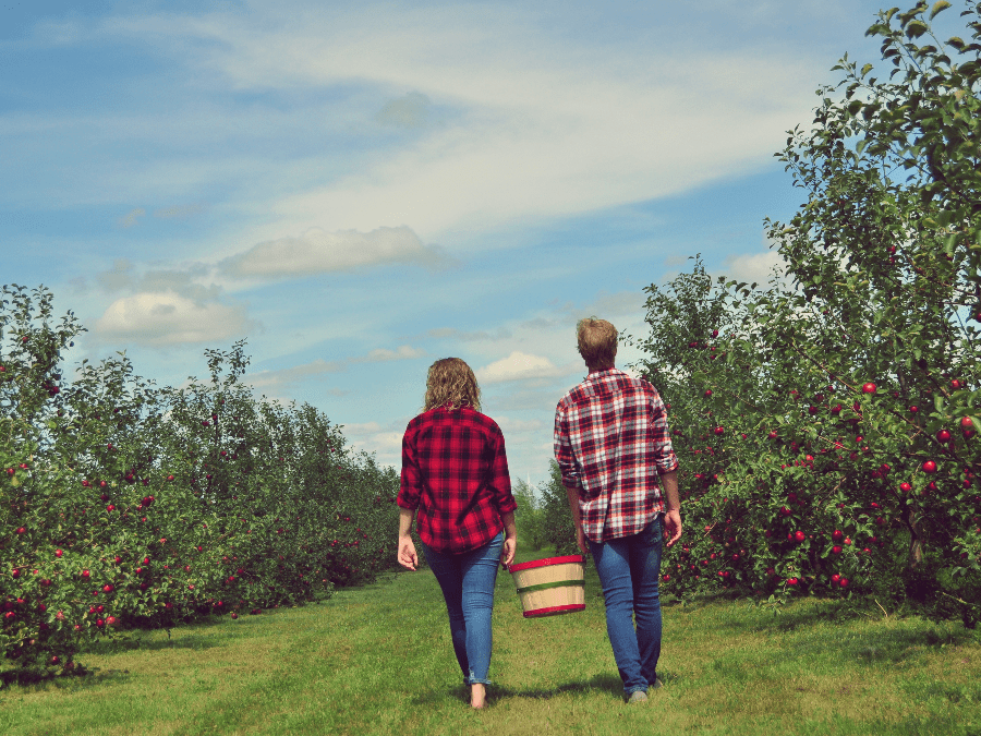 Little Sioux Orchard Milford, Iowa Travel Iowa