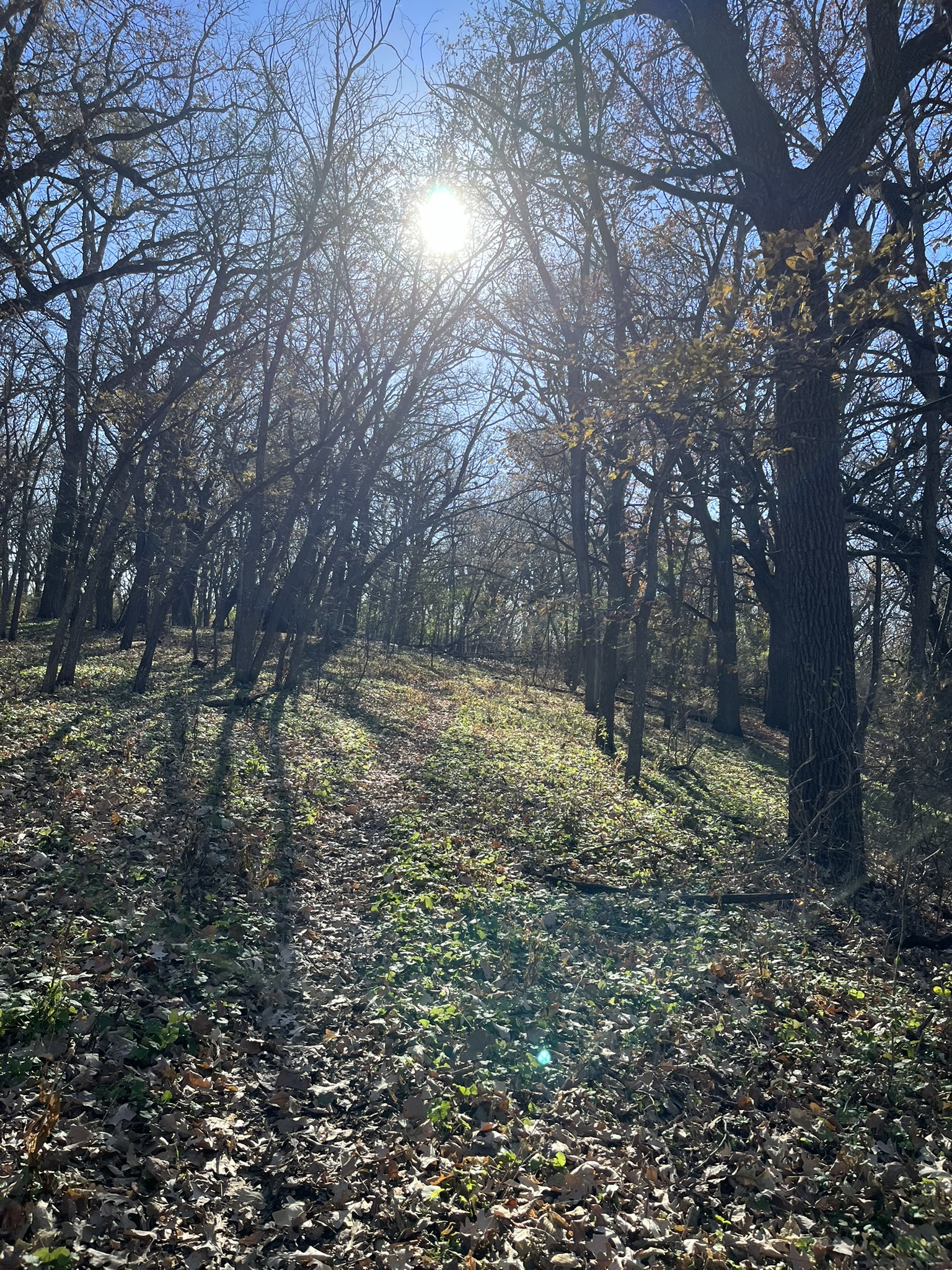Lower Gar State Recreation Area Arnolds Park, Iowa Travel Iowa