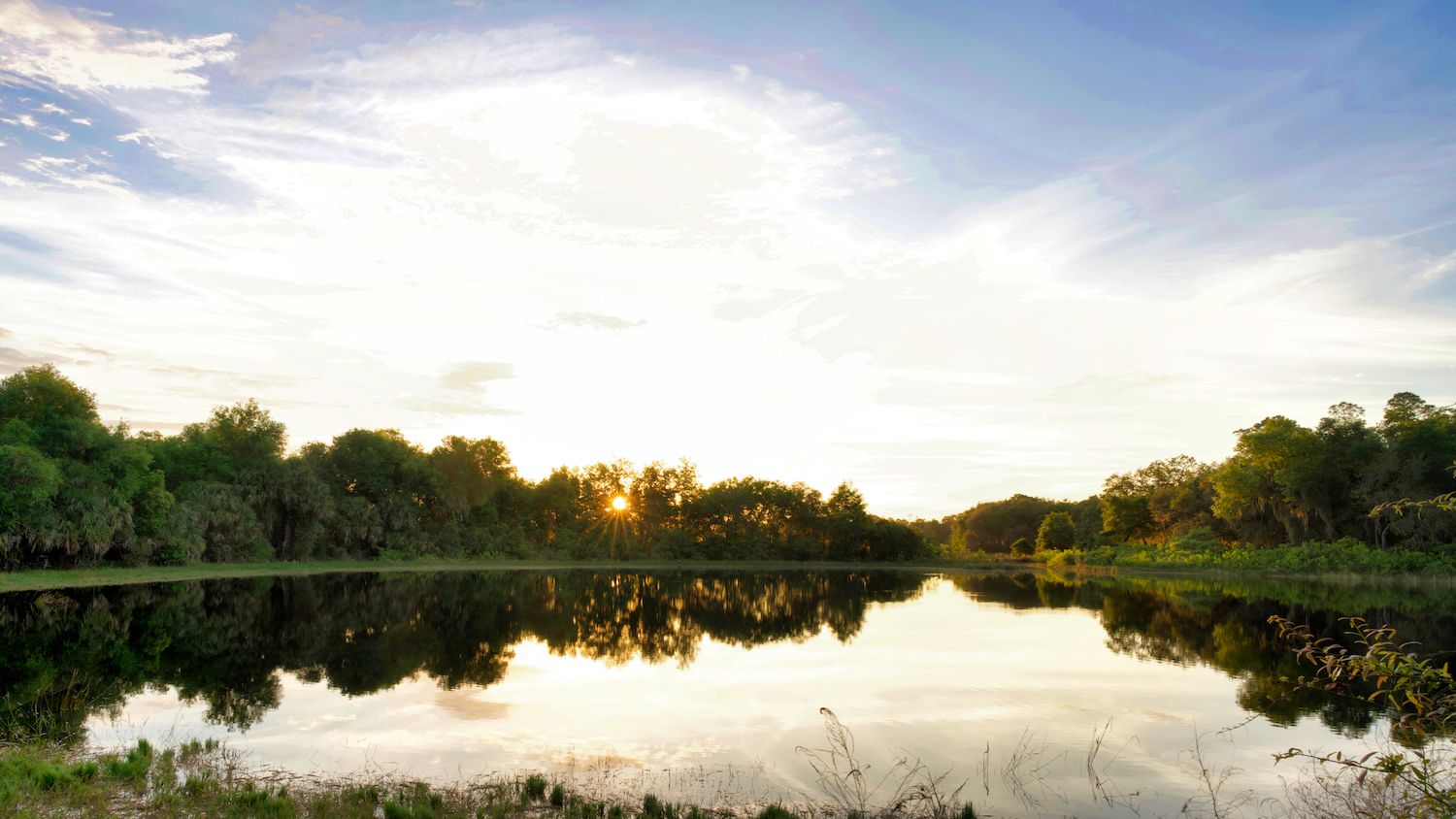 15 Best Things to Do in Cassadaga, FL Travel Lens