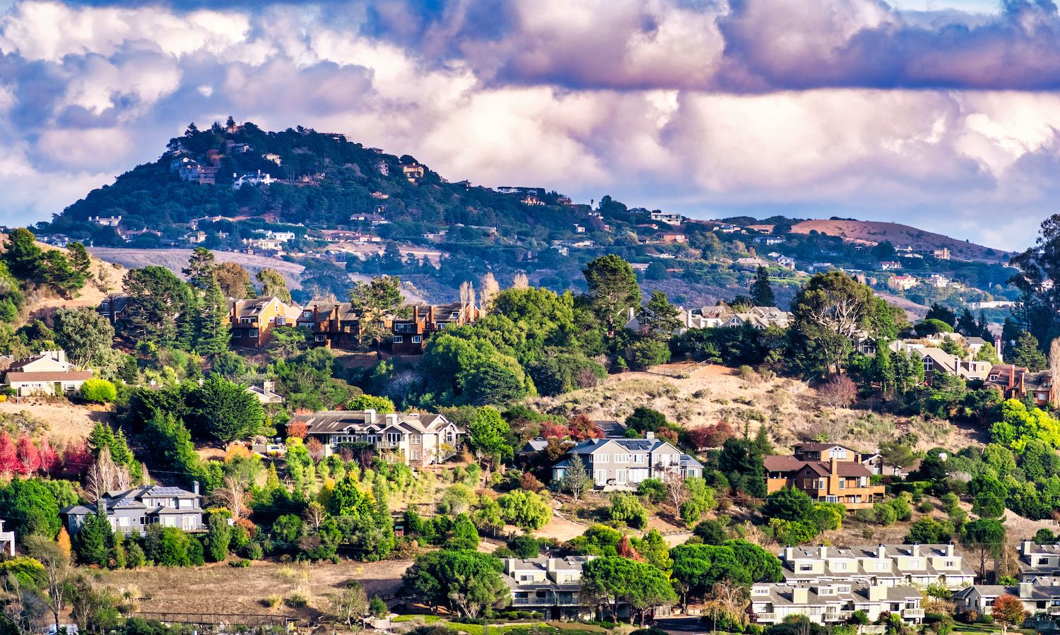 15 Best Things to Do in Mill Valley, CA Travel Lens