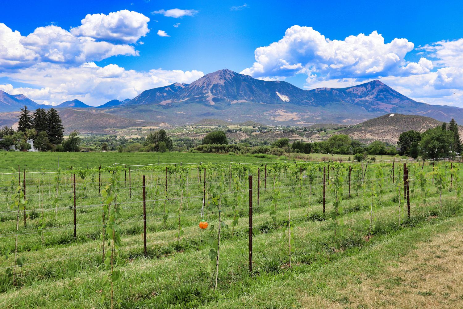 15 Best Things to Do in Paonia, CO Travel Lens