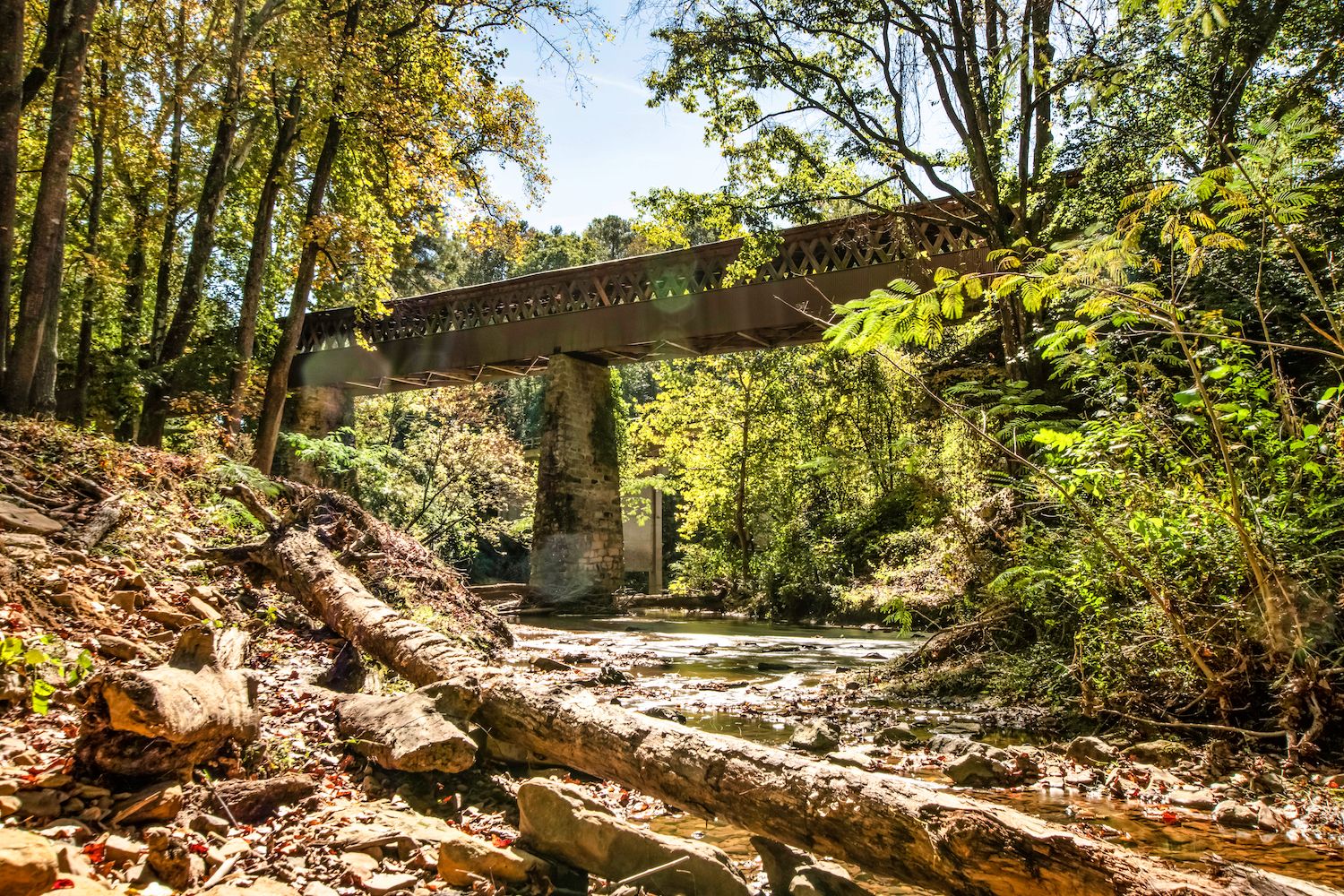 20 Best Things to Do in Cullman, AL Travel Lens