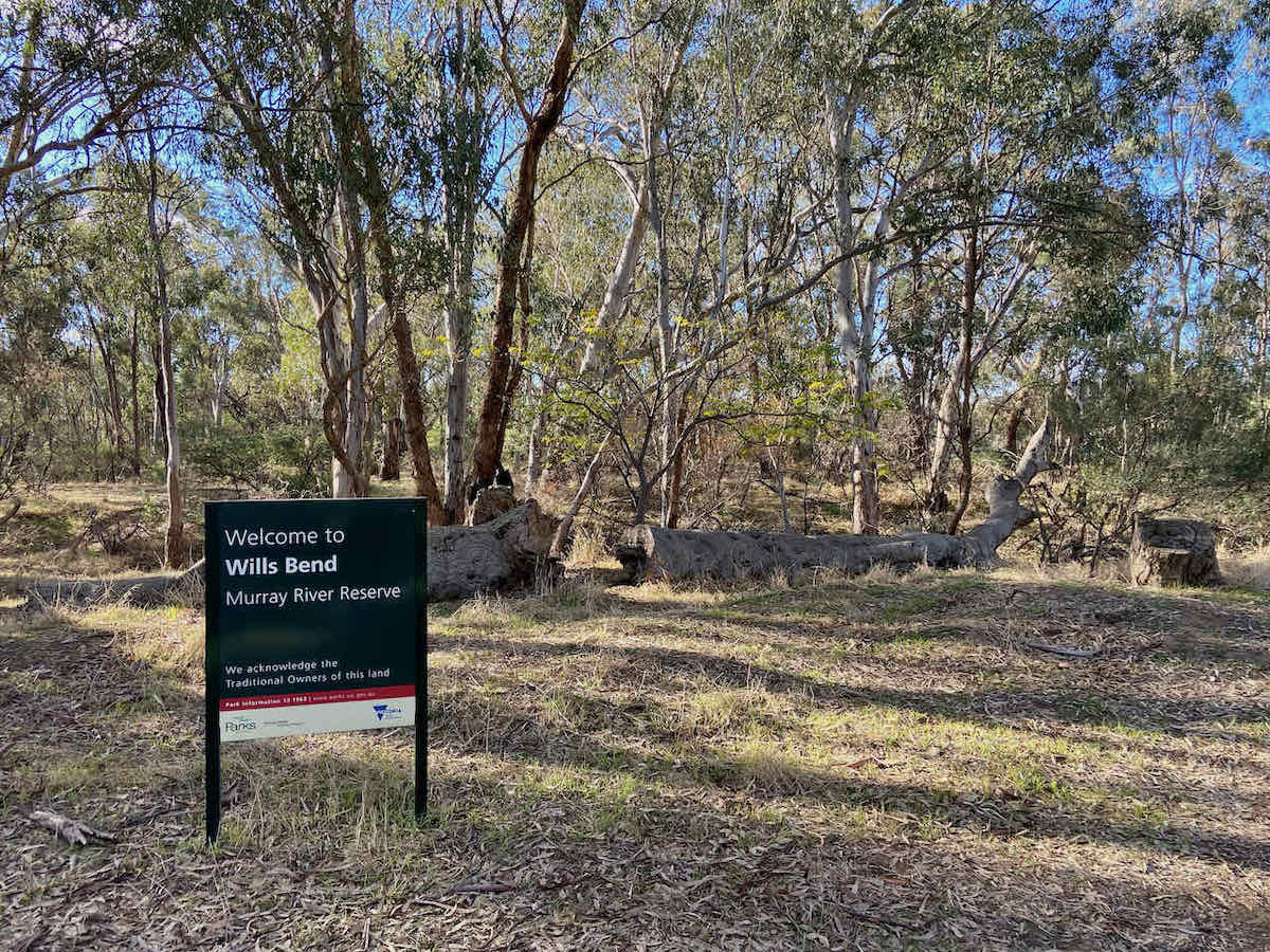 DogFriendly Echuca Visiting Echuca with a Dog Travelnuity